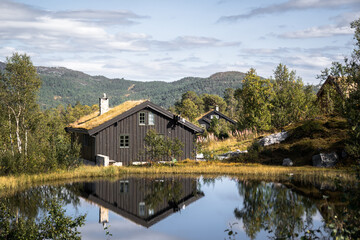 Obraz premium Wooden cabin with grass roof in the Norwegian mountains