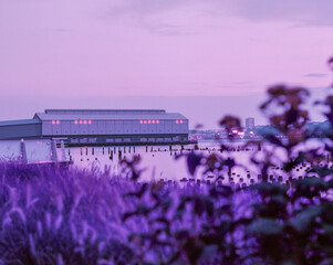 Surreal Purple Building on Boardwalk at Night