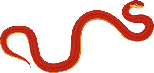 vector Everglades rat snake illustration