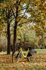 Fototapeta na wymiar Bicycle car sharing. The bike stands in the autumn park.