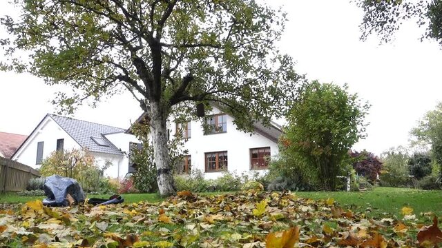 Mann kehrt Lauf auf dem Rasen zusammen und f&uuml;llt es in einen Sack