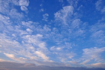 青空と白い雲