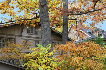 Residential neighborhood with lush colorful foliage in autumn