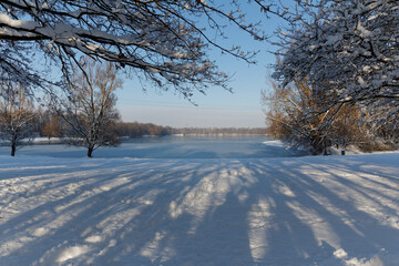 winter landscape with trees