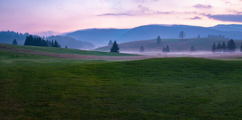 Fototapeta na wymiar Natural landscape with fog in the morning