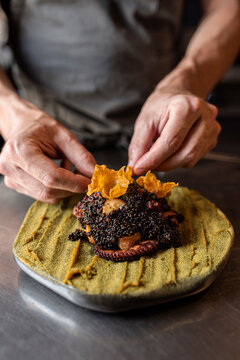 Chef plating a recipe - Braised octopus with quinoa and flowers