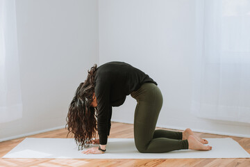 Beautiful Asian Woman Practicing Yoga in Home