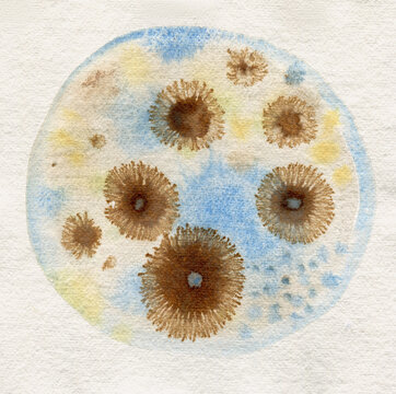 Petrie dish resembling watercolor art