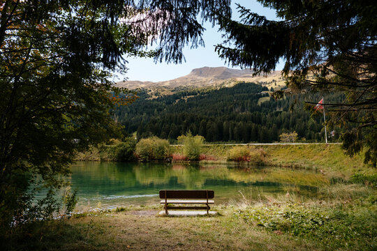 A wooden bench under the pine trees on the shore of a tranquil alpine lake in Lenzerheide, Switzerland