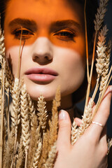 lighting on woman looking at camera and holding wheat spikelets on dark grey