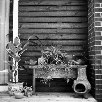Houseplants Situated in an Outdoor Arrangement with a Chiminea