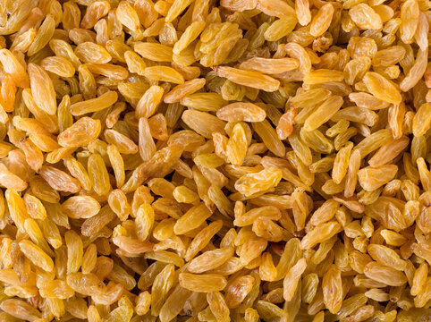 Yellow long raisins on a wooden background. Dried grapes