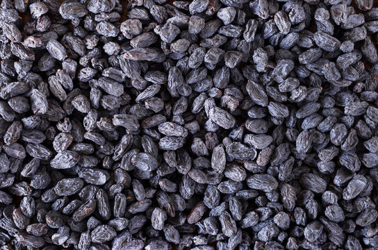 Blue raisin background. Dried grapes