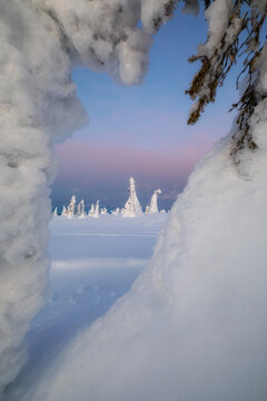 Vertical image of Riisitunturi landscape at winter seen through a hole of snow packed tree near Kuusamo, Posio, Finland