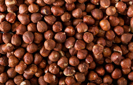 Hazelnut background close up