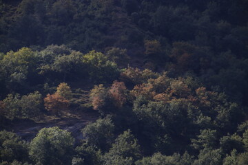 Mountainous landscape in Northern Spain