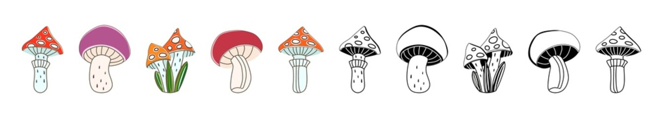 Mushrooms on a white background. Vector illustration. Autumn set of icons. Halloween. Abstract, hand drawn, decorative mushrooms. Harvest, food, vegetables, mushroom, fly agaric