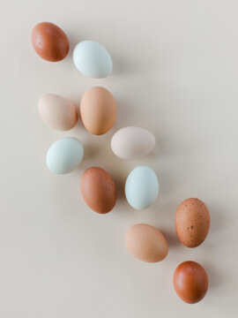 Eggs by color