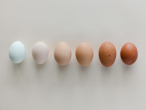 Eggs by color