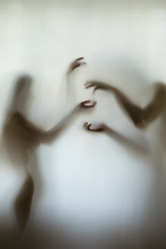 eastetic lines of body