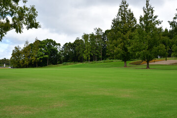 大阪万博記念公園広大な芝生の公園