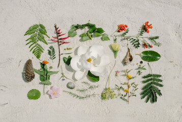 Biodiversity Arrangement
