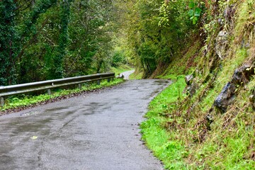 carretera a traves del bosque en el norte de España en otoño