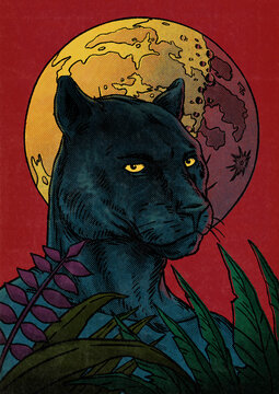 Black Panther With Moon And Plants Illustration