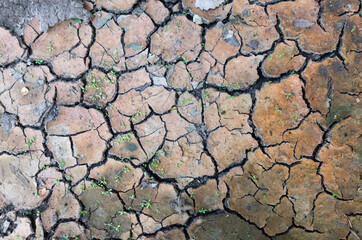 cracked earth texture. cracked reservoir soil