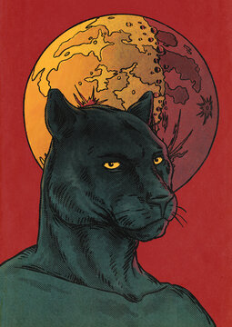 Black Panther And Moon Illustration
