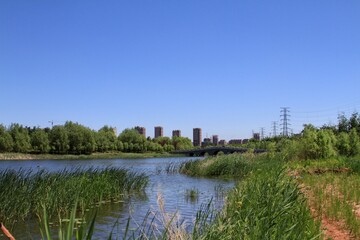 A pond in the city with modern apartment complex buildings on the side