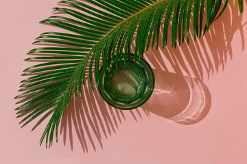 Studio shot of palm leaves and glass of carbonated water