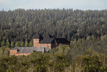 Authentic looking old castle of Hämeenlinna in a big forest without any modern looking elements