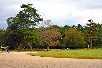 Nara outdoor park with trees and grass in Nara, Japan