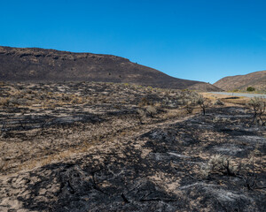 A wildfire leaves charred remains of sagebrush shrublands in the Great Basin Desert, Washoe County, Nevada