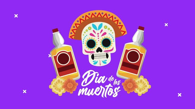 dia de los muertos celebration with mariachi hat and tequila bottles