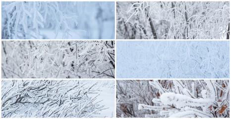 Collection of winter panoramic backgrounds with trees and bushes covered with hoarfrost. Snow and...