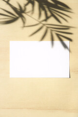 Fototapeta premium テーブルヤシの影と白いカード 5 縦位置