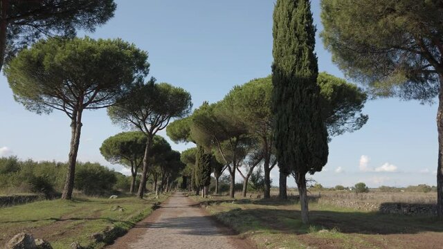 A lonely walk on the appian way in Roman countryside on a sunny day