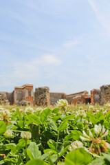 Closeup of lush green grass with ancient ruins in background. No people, space for copy, background,.