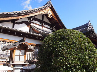 The Japanese-style house, Hogon-in Temple, Kyoto, Japan