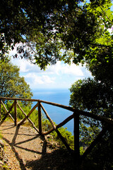 View of the ocean through a gap in the trees. Walk of the gods, Positano, Amalfi Coast, Italy. No people.