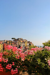 View of  Manarola, Cinque Terra, Italy in the background. Flowers in the foreground. No people, copy space.