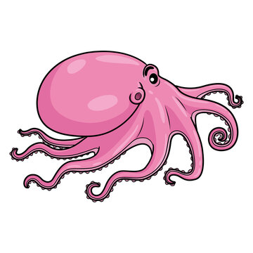 Illustration of cute cartoon octopus pink.