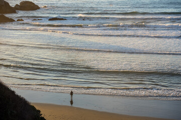 Fototapeta na wymiar Lonely tourist in the famous Sand Dollar Beach. California, USA.