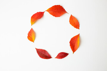 Creative autumn composition.Round frame made of yellow and red leaves on white background.Flat lay,top view,above,copy space.Creative natural holiday season layout concept design.Minimal concept.