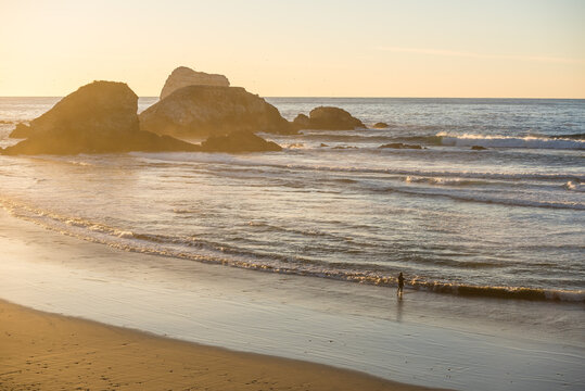 Lonely tourist in the famous Sand Dollar Beach. California, USA.