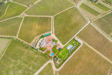 Fototapeta premium Aerial view of a winery and grape vines in Greve in Chianti. Tuscany, Italy.
