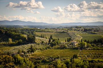 Fototapeta na wymiar Houses and fields in San Gimignano. Tuscany, Italy.
