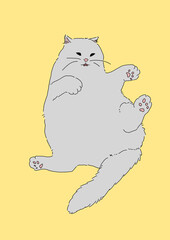 猫